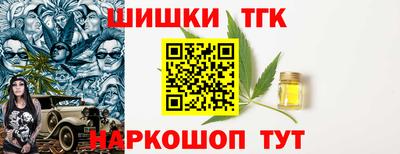 гашик Гатчина