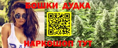 прущий лед Гай