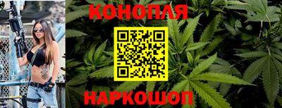 гашик Гатчина