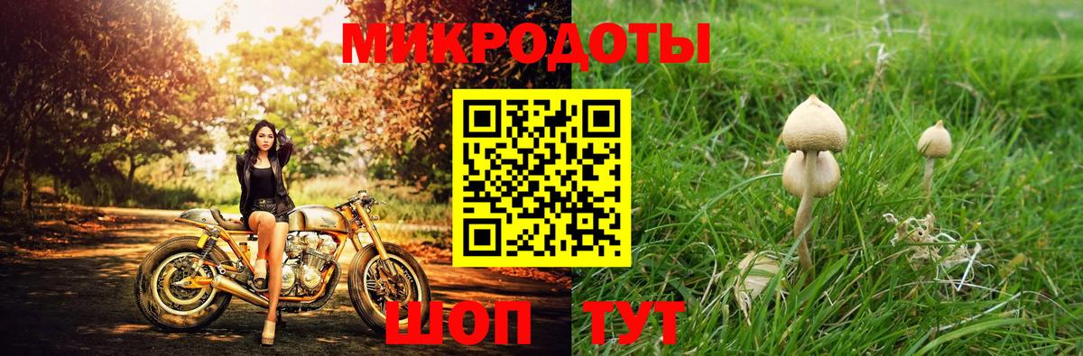 Тольятти  Галлюциногенные грибы ЛСД  где найти   Вход с VPN  Галлюциногенные грибы Psilocybe 